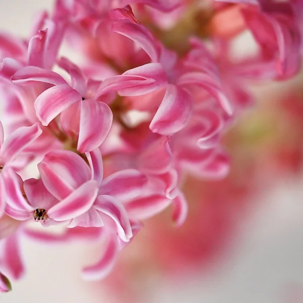 问鼎娱乐百家乐游戏